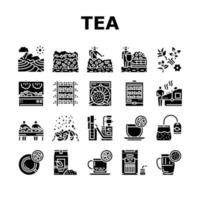 conjunto de ícones de coleção de produção de bebida de chá vetor