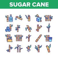 conjunto de ícones de coleção de agricultura de cana-de-açúcar vetor