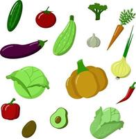 um conjunto de legumes. suculento colorido e delicioso. vegetarianismo. veganismo. estilo de vida saudável. ilustração em vetor nutrição adequada.
