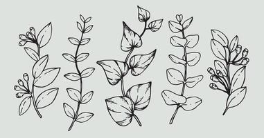 conjunto de ramos florais e flores minimalistas para logotipo ou tatuagem. erva de casamento de linha desenhada à mão, folhas elegantes para convite salvar o cartão de data. vegetação rústica na moda botânica vetor