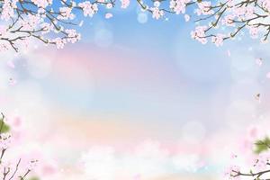 flor de cerejeira da primavera no fundo do céu pastel azul e rosa, ilustração vetorial flor de sakura rosa florescendo na primavera com pétalas caindo, banner de fundo doce para venda de primavera ou verão vetor