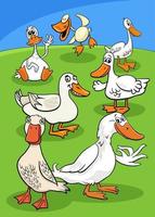 desenhos animados patos fazenda pássaros animais grupo de personagens vetor