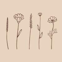 conjunto de ervas e flores silvestres. elementos florais desenhados à mão. ilustração vetorial. vetor