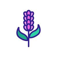 vetor de ícone de flor de lavanda. ilustração de símbolo de contorno isolado