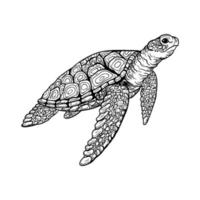 vetor de tartaruga desenhado à mão