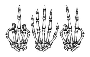ilustração vetorial de ossos da mão