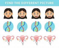 jogo de educação para crianças encontrar a imagem diferente em cada linha desenho bonito anatomia humana e órgão menina dna útero vetor