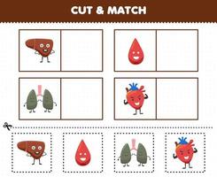 jogo de educação para crianças cortar e combinar a mesma imagem de anatomia humana de desenho animado bonito e órgão fígado sangue pulmão coração vetor