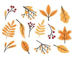 conjunto de outono. bagas de folhas de outono. estilo desenhado. coleção de plantas de outono. ilustração vetorial. vetor