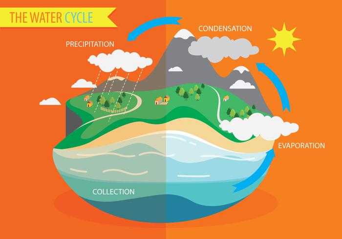 Vettore del diagramma del ciclo dell'acqua