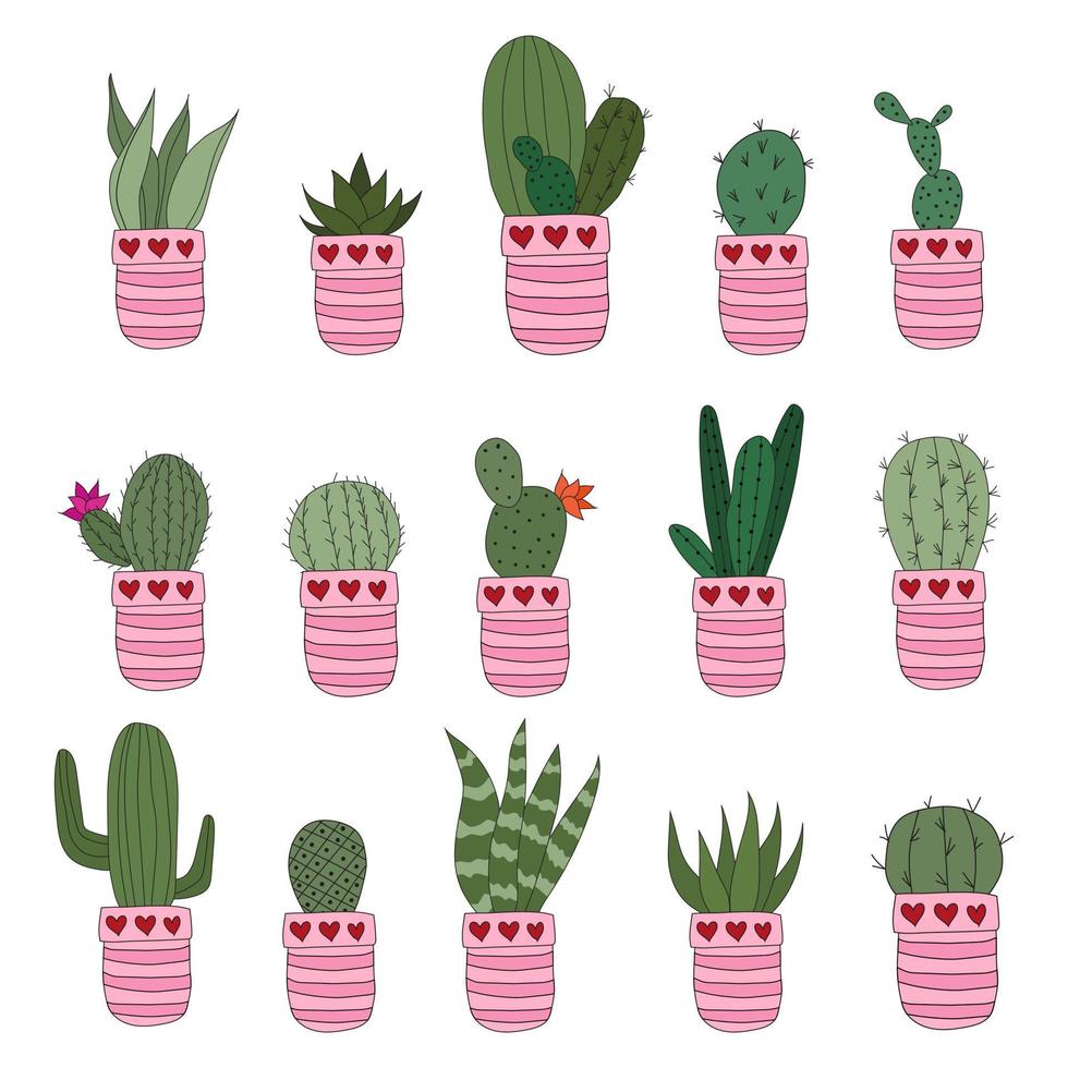 impostare simpatici cactus doodle in vasi rosa. illustrazione vettoriale con piante da interno carine. set di 15 piante