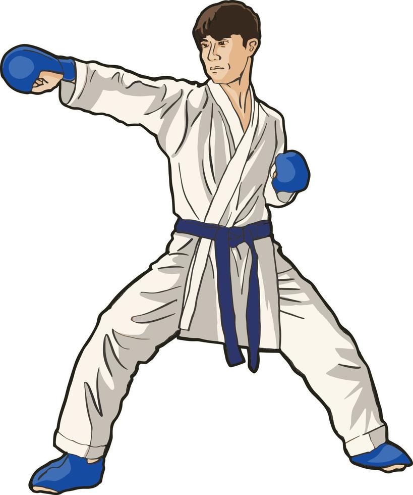 allenamento con il pugno di karate vettore