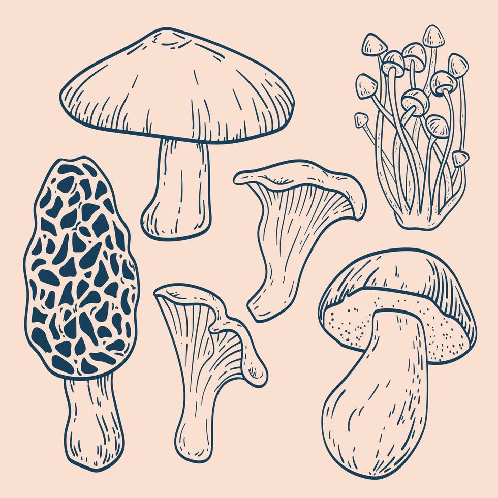 illustrazione vettoriale di schizzo disegnato a mano di funghi