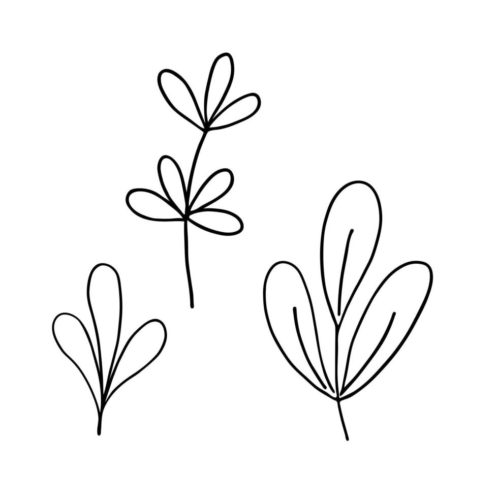 lascia un semplice contorno vettoriale illustrazione concettuale minimalista, ramo floreale disegnato a mano a linea sottile, elemento per inviti, biglietti di auguri, design opuscolo