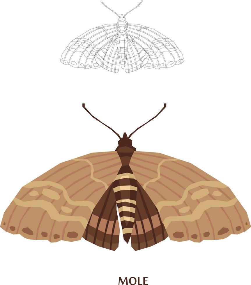 schizzo di insetti per illustrazione vettoriale