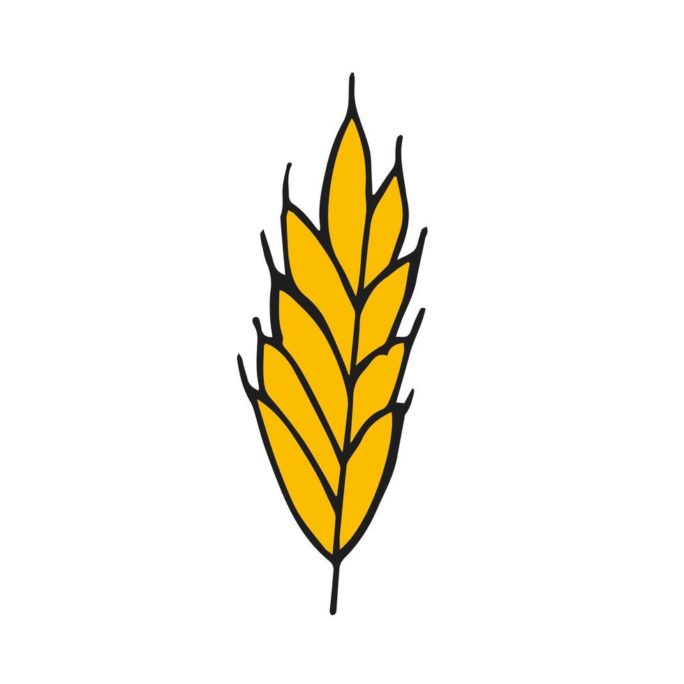 oktoberfest 2022 - festa della birra. spiga di grano giallo doodle disegnato a mano su sfondo bianco. festa tradizionale tedesca. vettore
