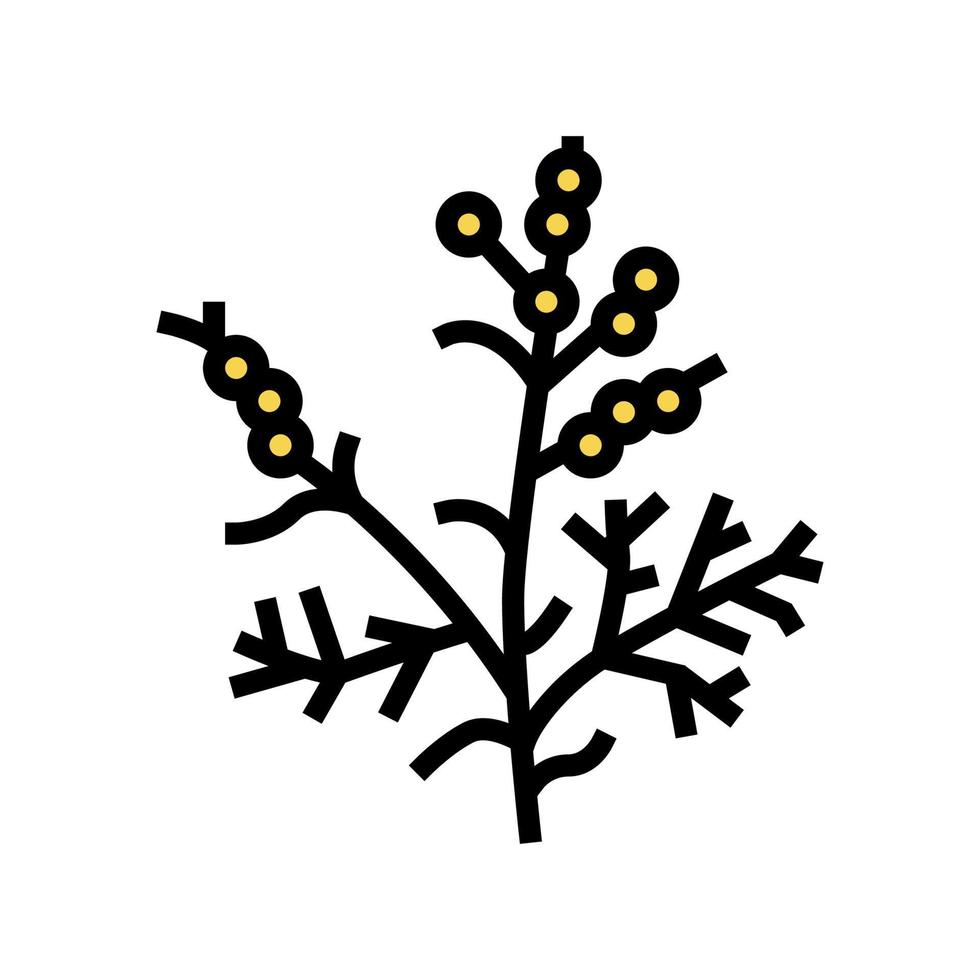 illustrazione vettoriale dell'icona del colore della pianta di assenzio