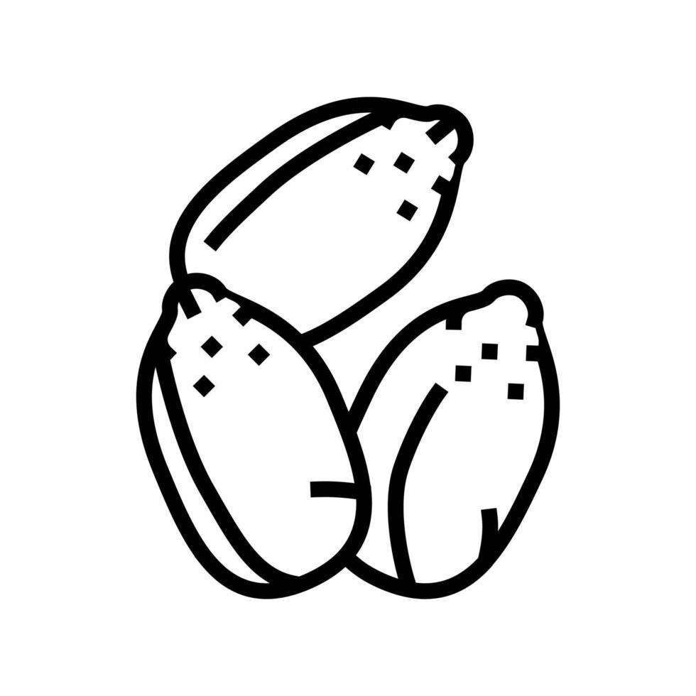 illustrazione vettoriale dell'icona della linea di semi di canapa
