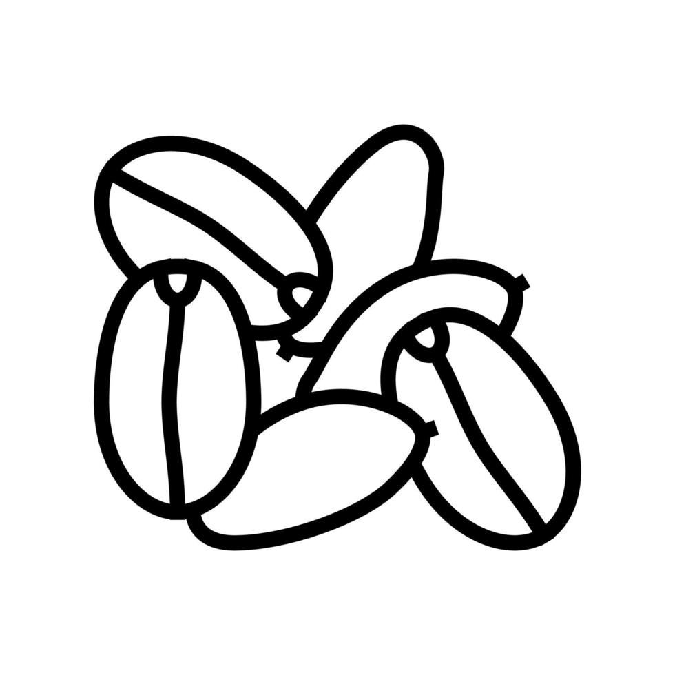 illustrazione vettoriale dell'icona della linea di semi di farro