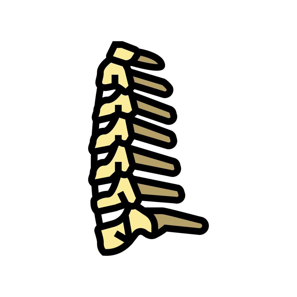illustrazione vettoriale dell'icona del colore dell'osso del collo