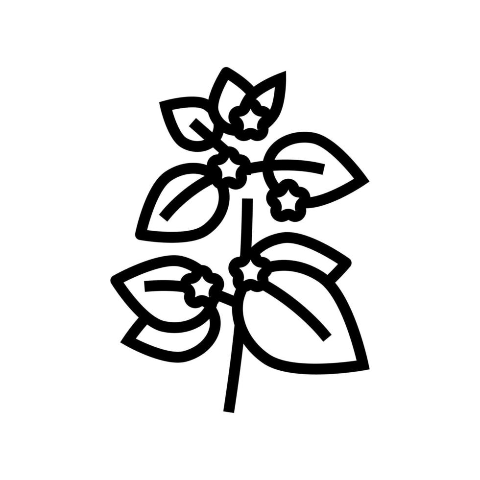 illustrazione isolata del vettore dell'icona della linea di aromaterapia a base di erbe melissa