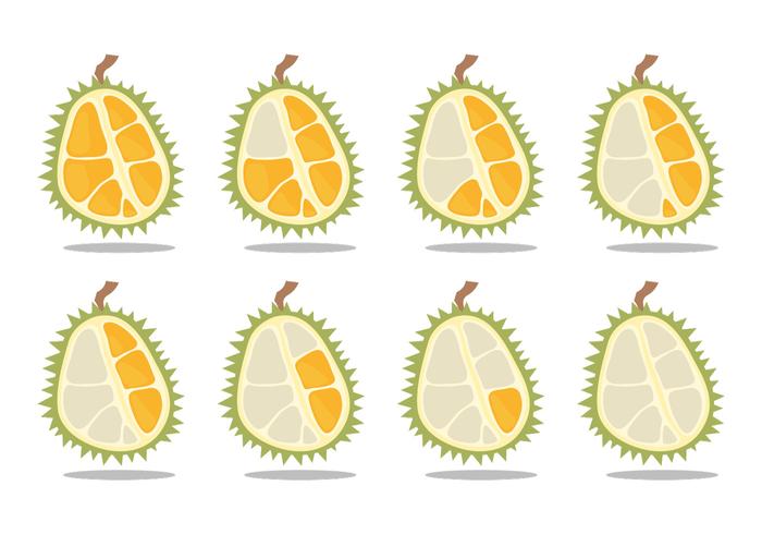 il durian mangia il lasso di tempo vettore