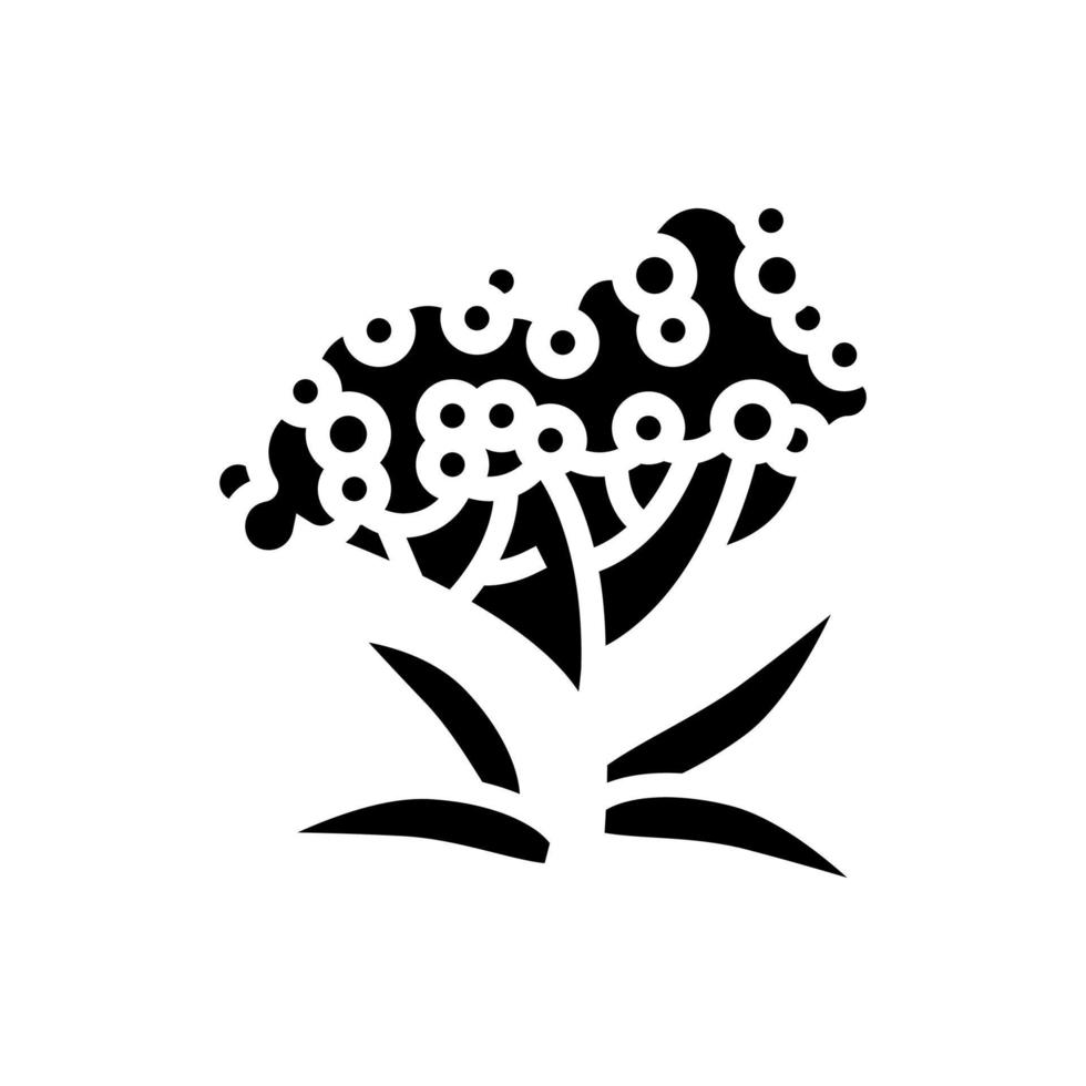 illustrazione vettoriale dell'icona del glifo del ramo di un albero di sambuco