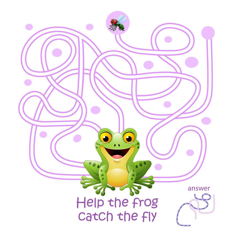 carta con gioco del labirinto, aiuta la rana a catturare la mosca vettore