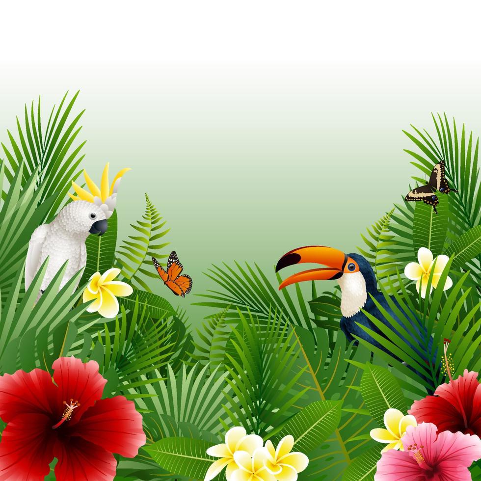 set di raccolta di piante e uccelli tropicali vettore