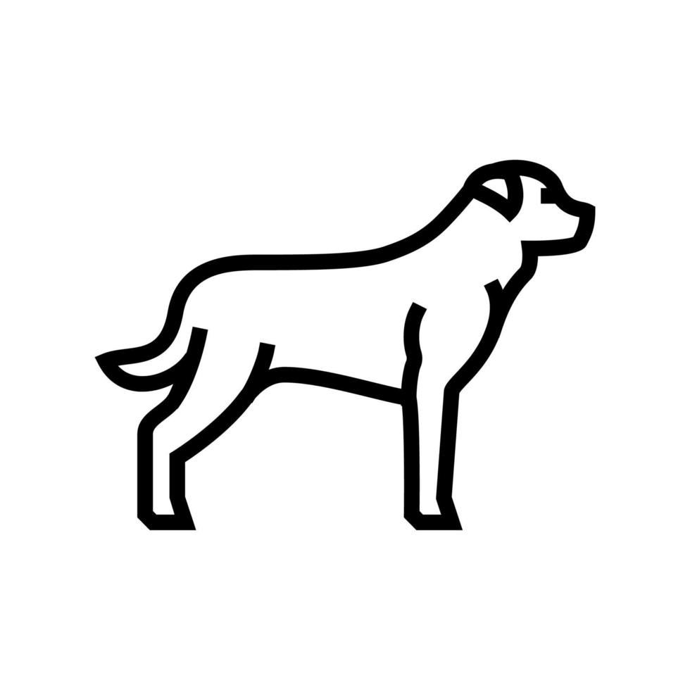 illustrazione vettoriale dell'icona della linea del cane rottweiler