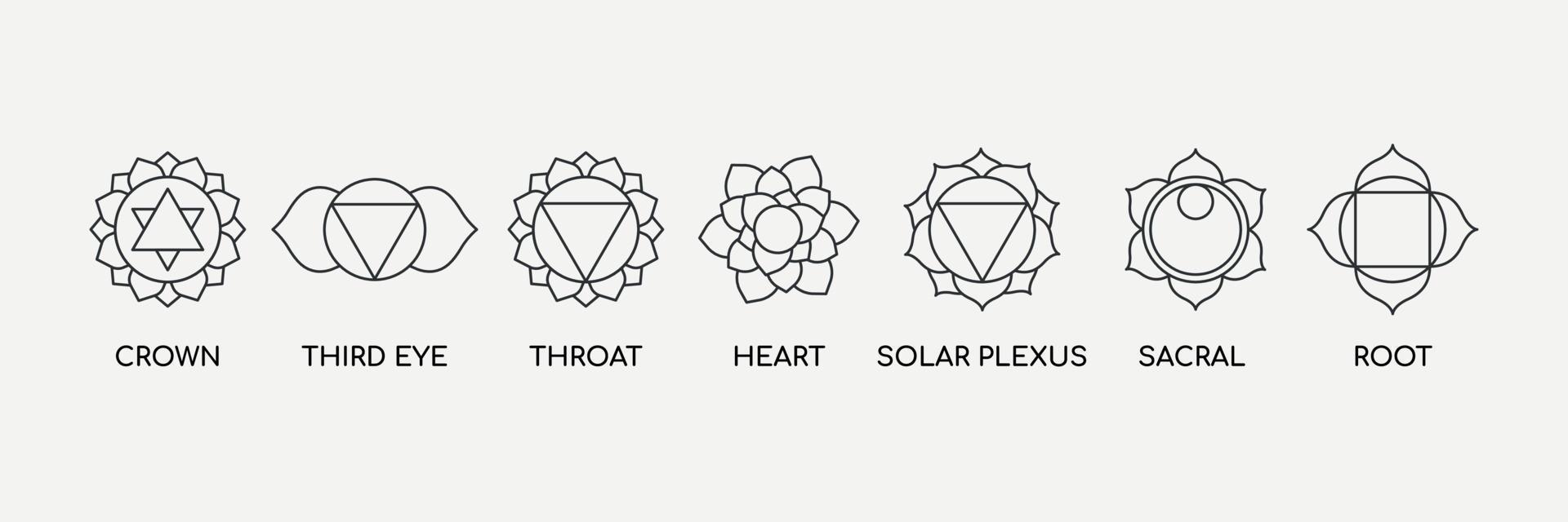 sette chakra con set di icone della linea di denominazione. centri energetici del corpo, usati nell'ayurveda e nell'induismo. yoga, simbolo del buddismo... illustrazione vettoriale