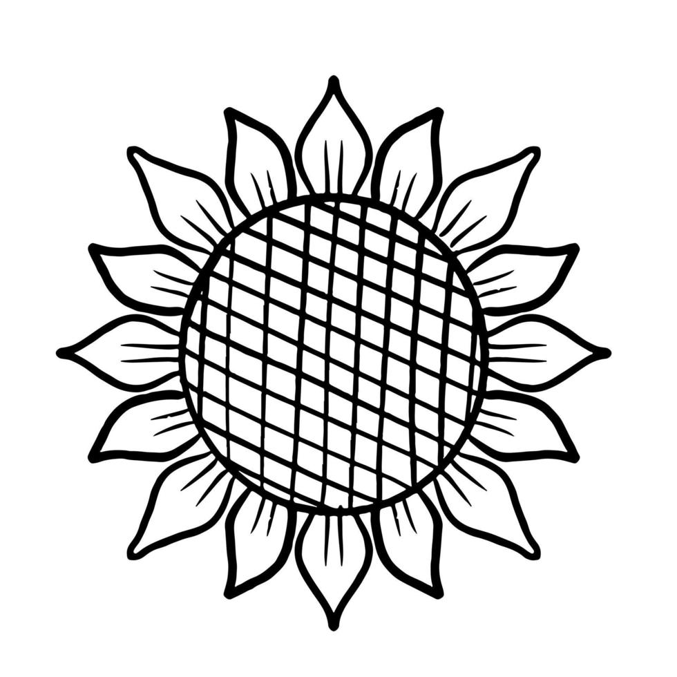 girasole in stile doodle disegnato a mano. schizzo floreale isolato su priorità bassa bianca. vettore