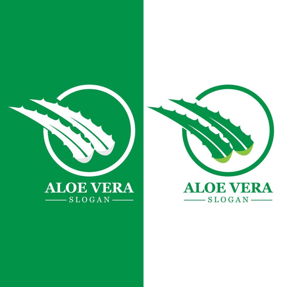 pianta verde aloe vera logo vettore icona simbolo molti vantaggi