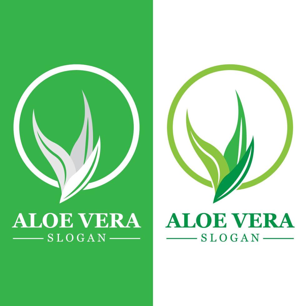 pianta verde aloe vera logo vettore icona simbolo molti vantaggi