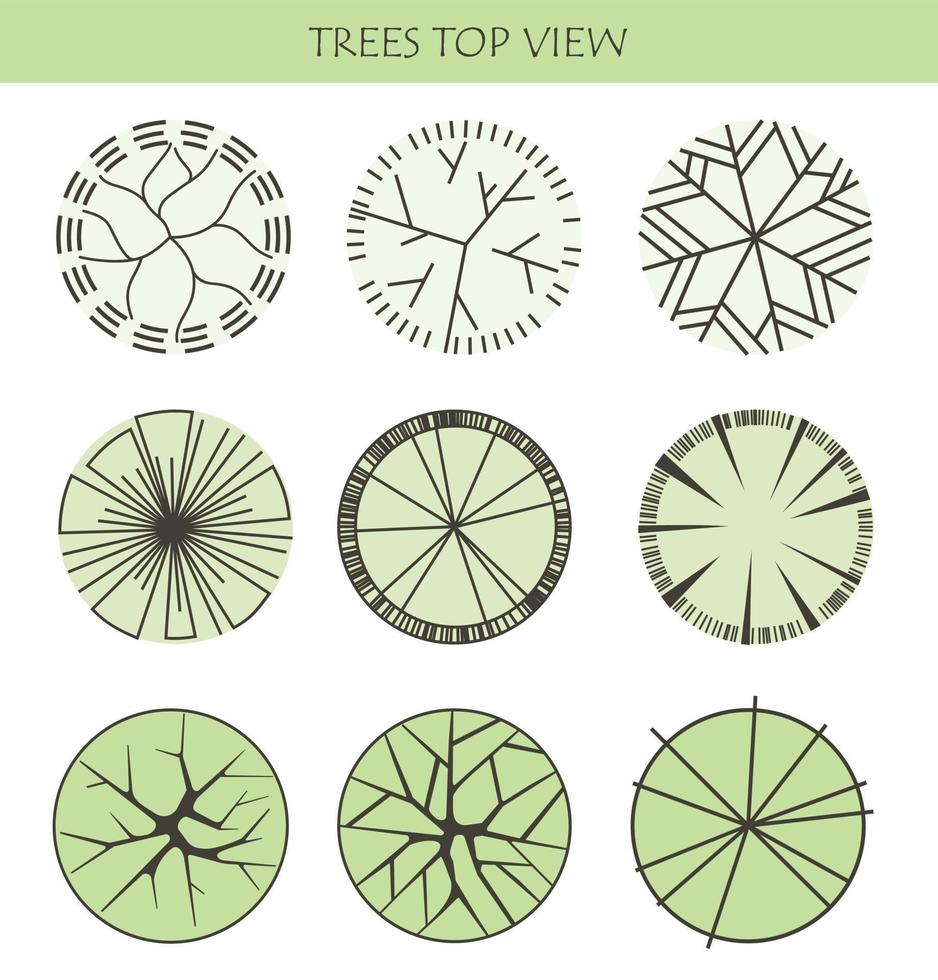 albero per planimetrie architettoniche. progettazione dell'entourage. vari alberi, cespugli e arbusti, vista dall'alto per il piano di progettazione del paesaggio. vettore