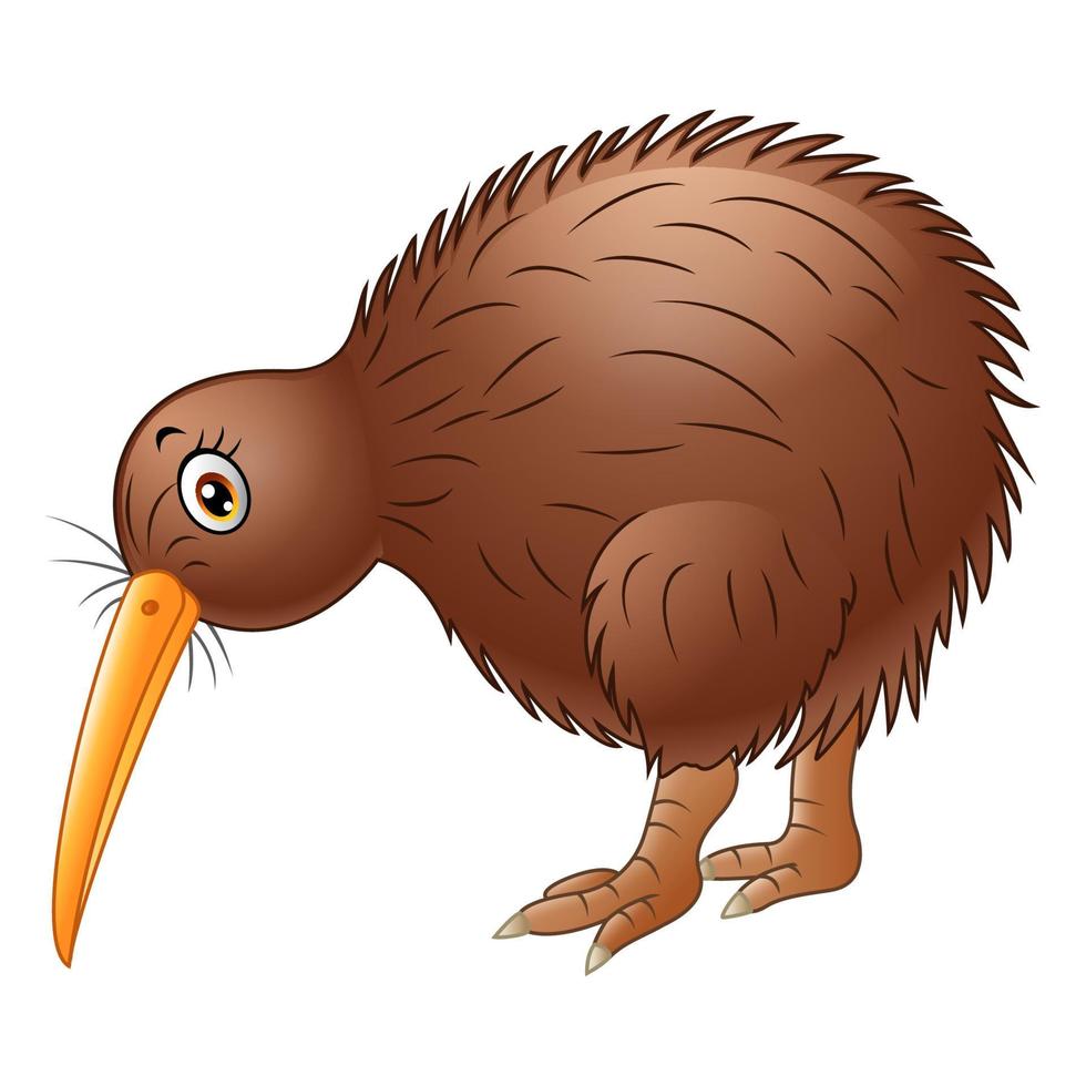 simpatico cartone animato di uccello kiwi vettore