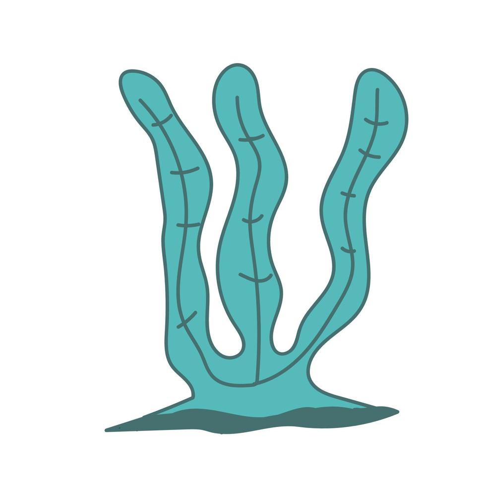 elemento di design di illustrazione vettoriale disegnato a mano di alghe carine