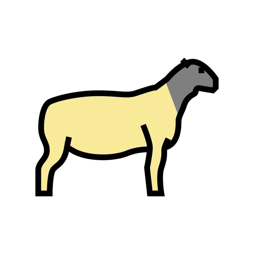 illustrazione vettoriale dell'icona del colore delle pecore dorper