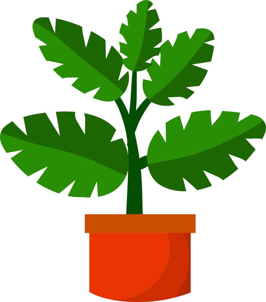 pianta domestica in vaso. grandi foglie verdi.elemento di decorazione e giardinaggio. illustrazione piatta del fumetto. hobby e flora vettore