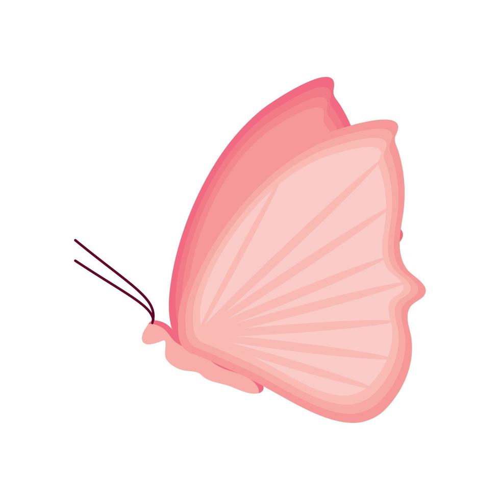 insetto farfalla rosa vettore