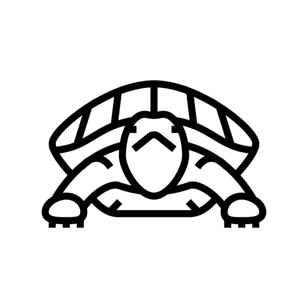 illustrazione vettoriale dell'icona della linea tropicale della tartaruga