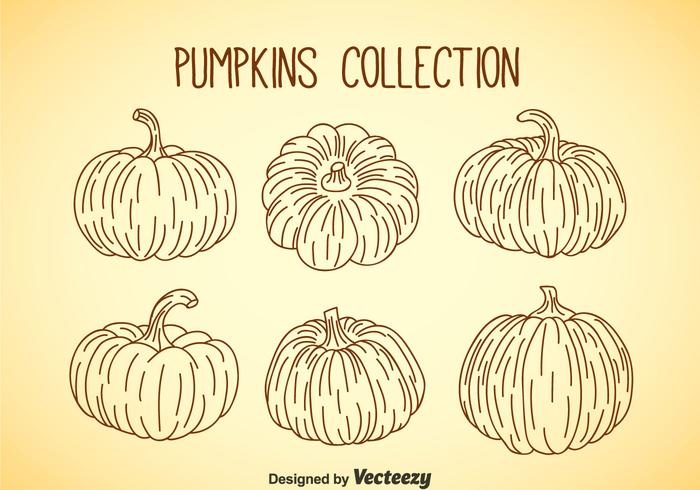 Collezione Pumpkin vettore