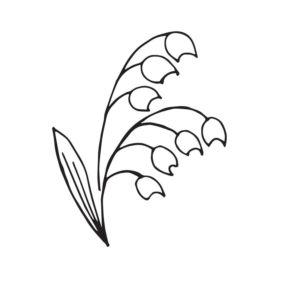 semplice disegno a mano in stile doodle. disegno stilizzato di mughetti. fiore primaverile, simbolo dell'arrivo della primavera. disegnato da una fodera isolata su sfondo bianco vettore