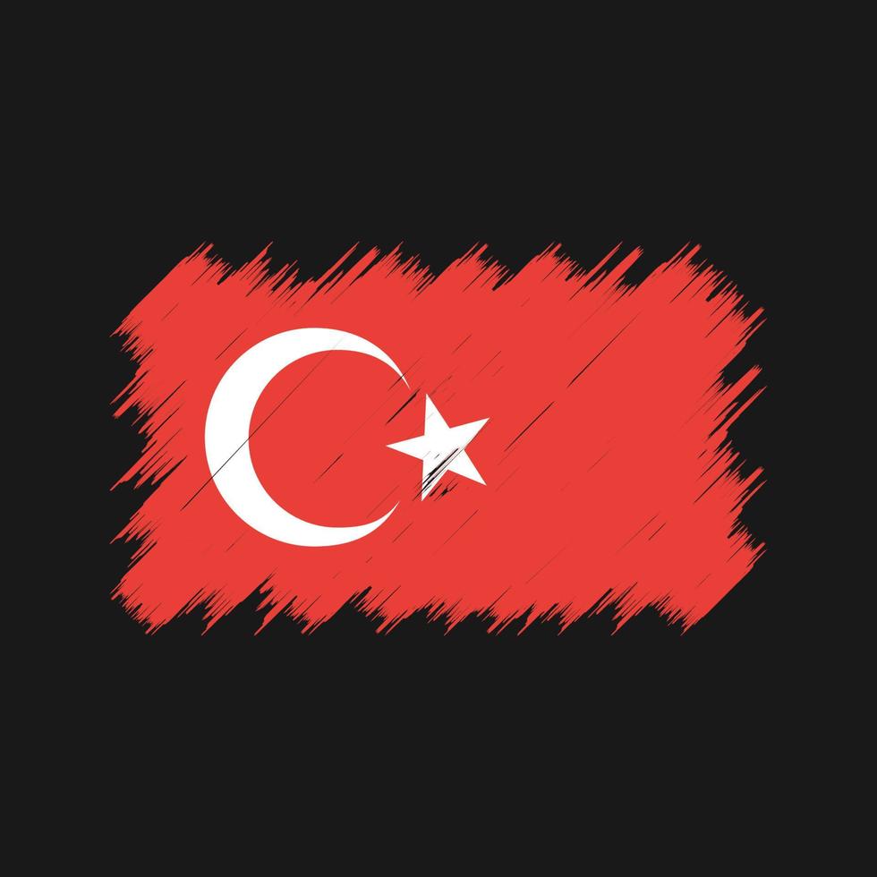 pennello bandiera turchia. bandiera nazionale vettore