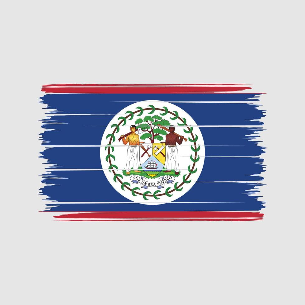 Belize flag pennellate. bandiera nazionale vettore