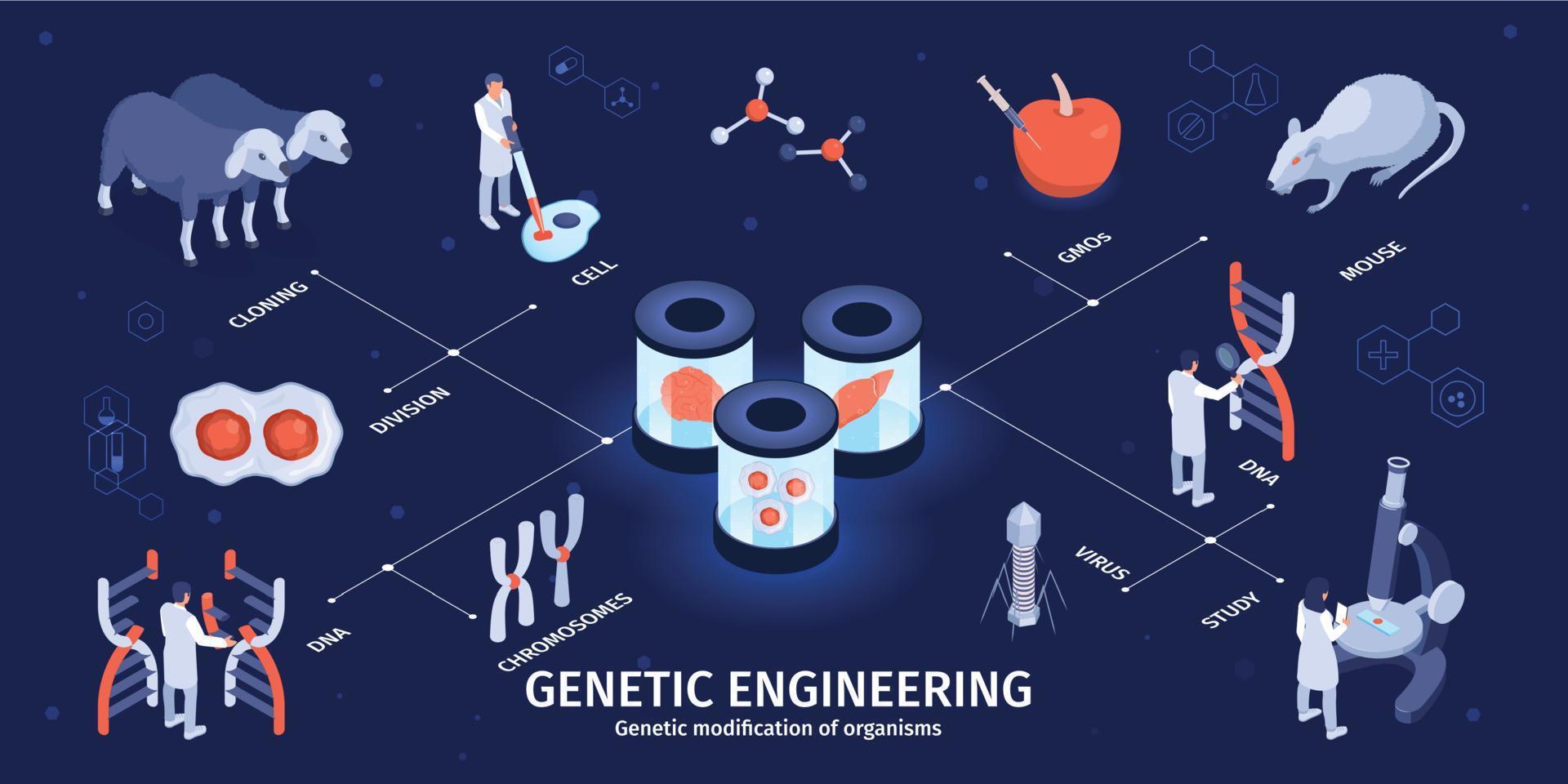 infografica di ingegneria genetica isometrica vettore