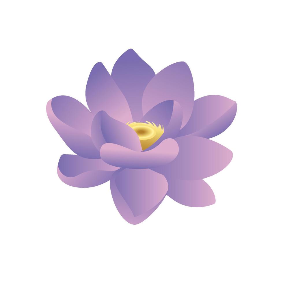 bellissimo modello vettoriale fiore di loto sfumato
