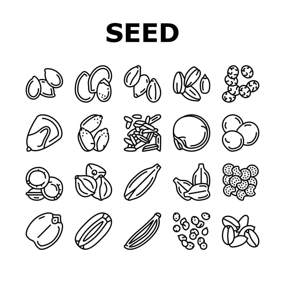 Set di icone della cultura dell'agricoltura delle piante da seme vettore