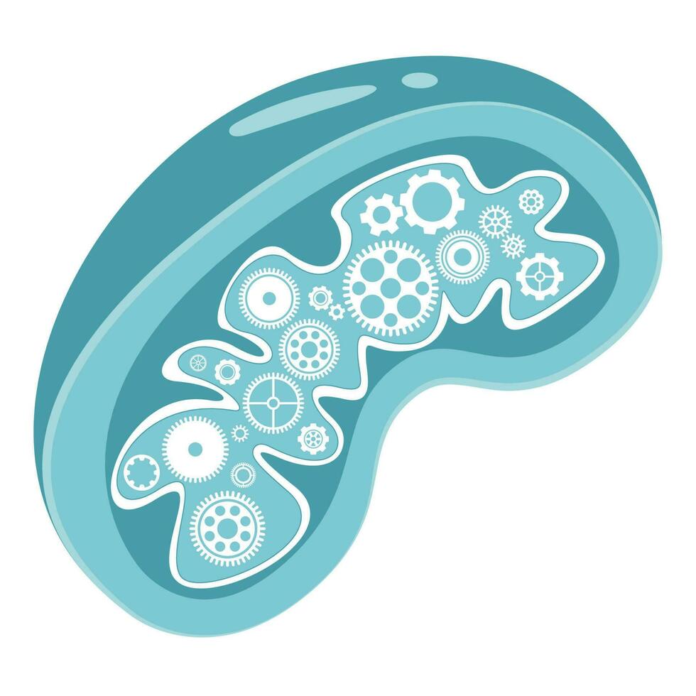 mitocondri centrale elettrica della cellula vettore