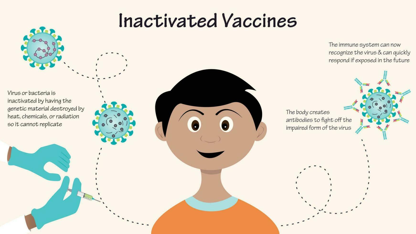 diagramma infografico vaccini inattivati vettore